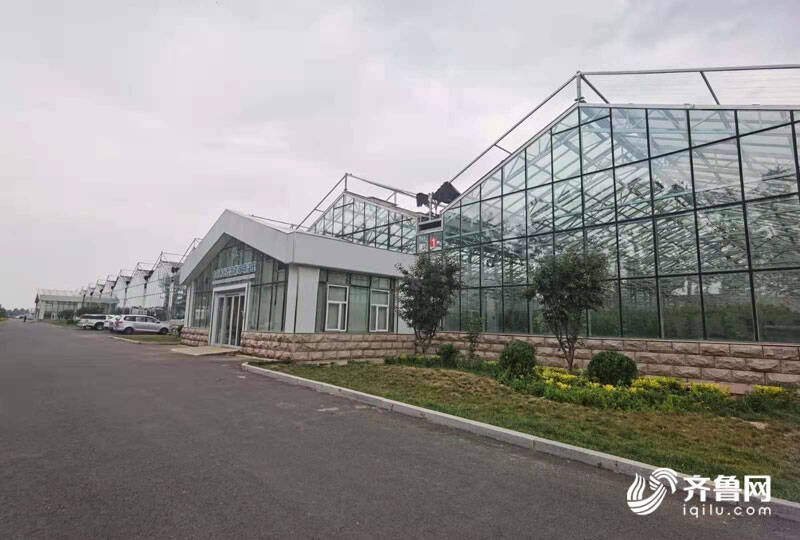 高端智庫看山東 如何豐富“壽光模式”內涵？專家支招 結合新發展機遇，用數字經濟賦能產業，推廣新材料技術